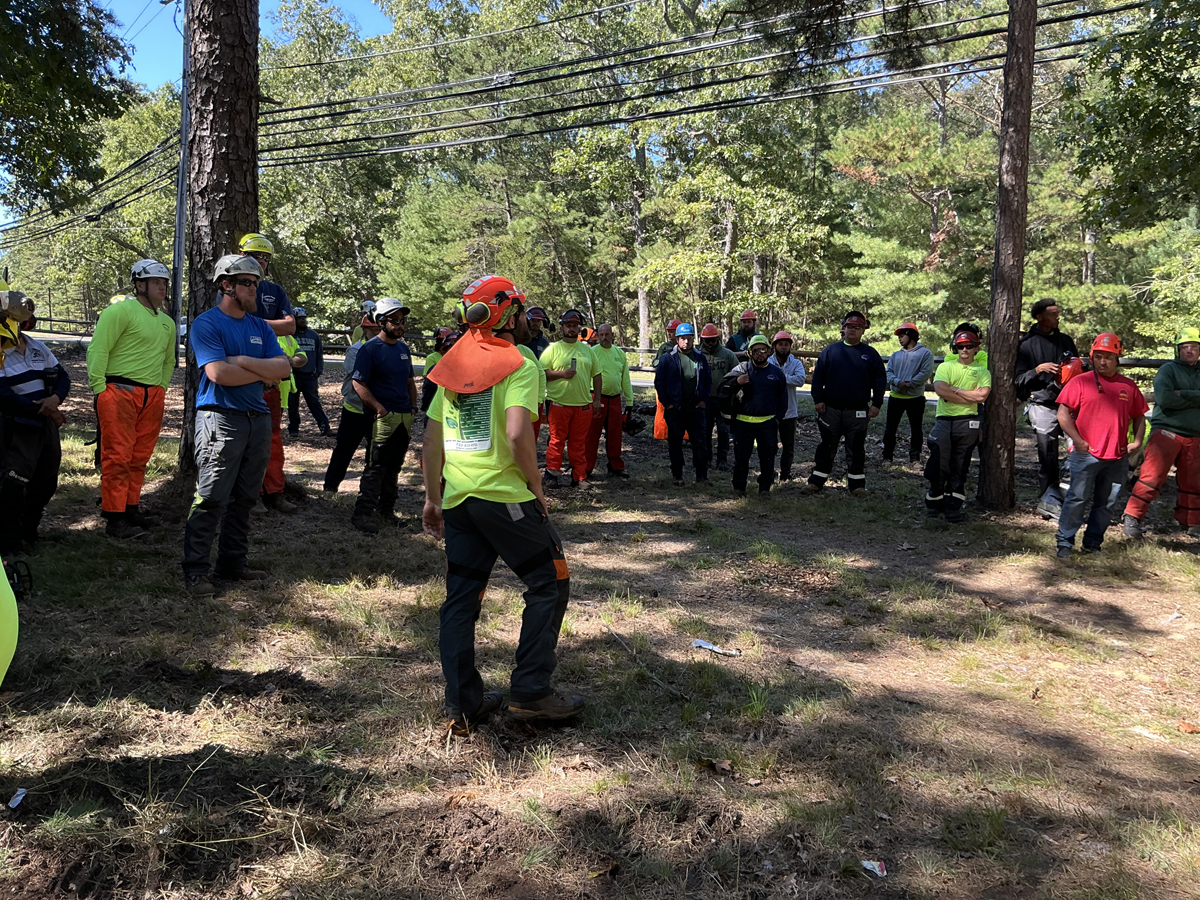 chainsaw-safety-0347