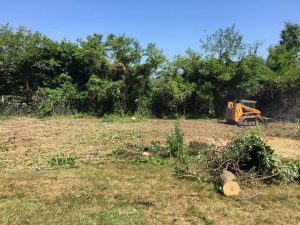 Land & Site Clearing at Industrial Site